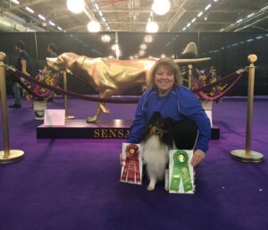 Coach at Westminster