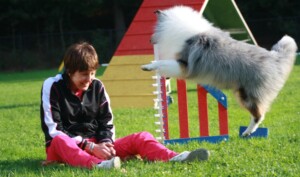 Paulette having fun with Rush (the bouncing Sheltie)